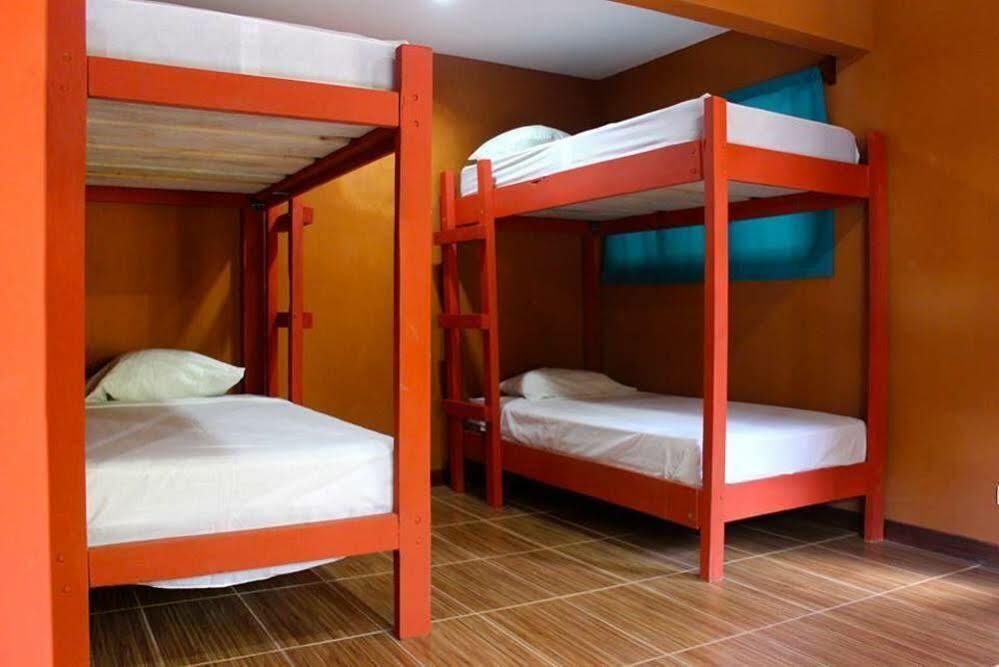 Coral Reef Surf Hostel And Camp タマリンド エクステリア 写真
